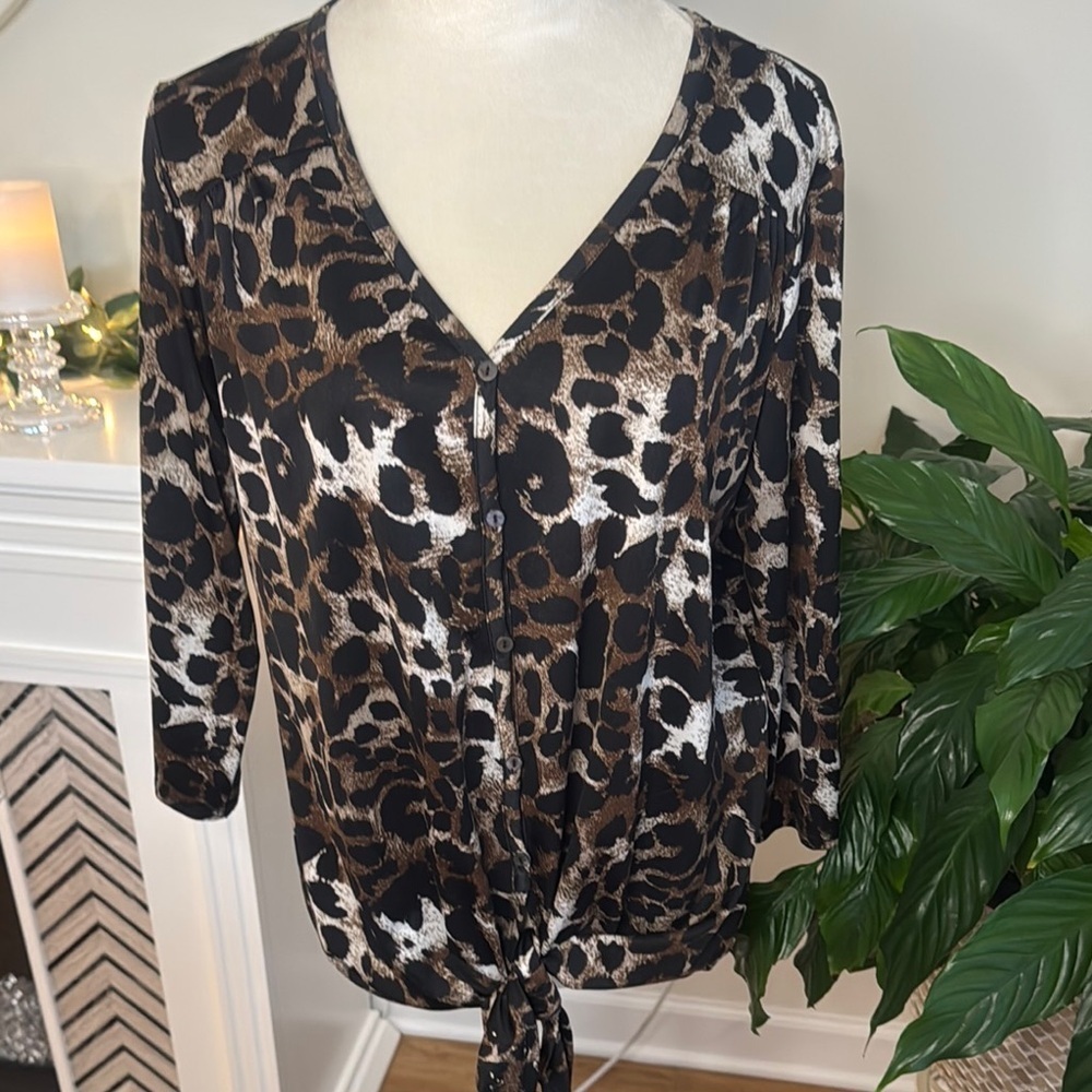 Verve Animal Print V-Neck Blouse